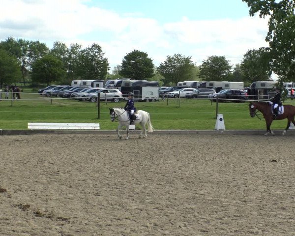 Reitturnier Ahlen 2019
