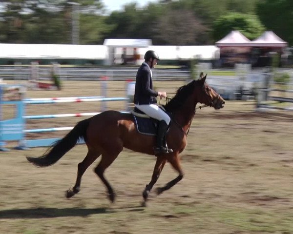 Reitturnier Schwanebeck 2019