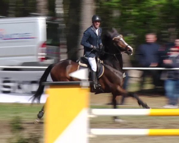 Reitturnier Schwanebeck 2019