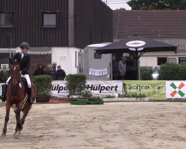 Reitturnier Dortmund-Asseln 2019