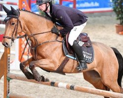 Springpferd Cantara 77 (Hannoveraner, 2009, von Canstakko)