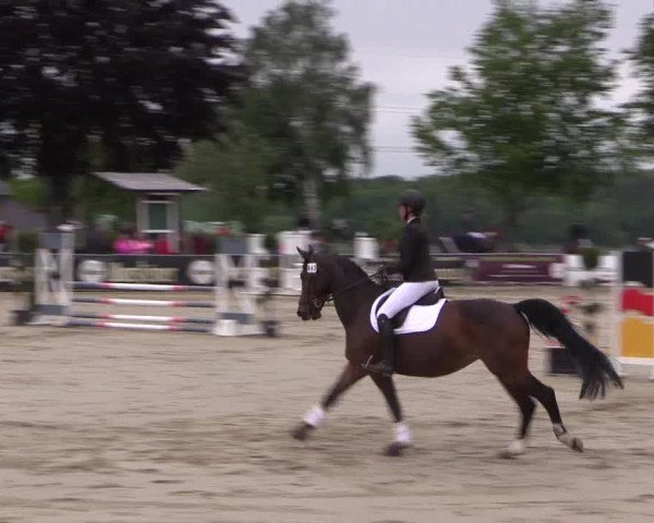 Reitturnier Dortmund-Asseln 2019