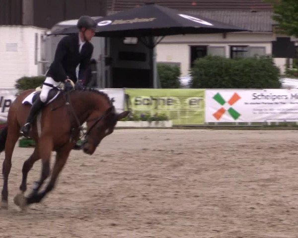 Reitturnier Dortmund-Asseln 2019