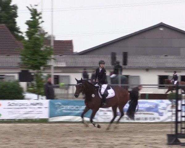 Reitturnier Dortmund-Asseln 2019
