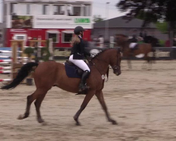 Reitturnier Dortmund-Asseln 2019