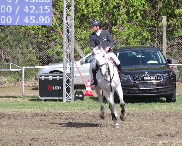 Reitturnier Schwanebeck 2019