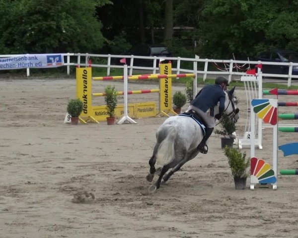 Reitturnier Köln-Seeberg 2019
