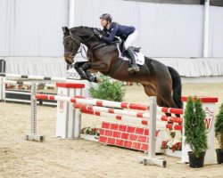 jumper Charlien 8 (Westphalian, 2012, from Captain Jack 44)