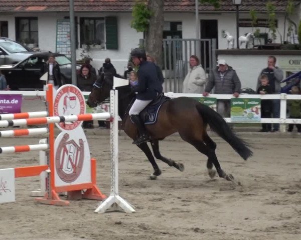 Reitturnier Köln-Seeberg 2019