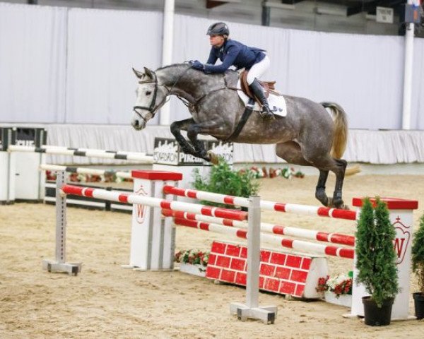 Springpferd Coco Canell (Westfale, 2012, von Colman)