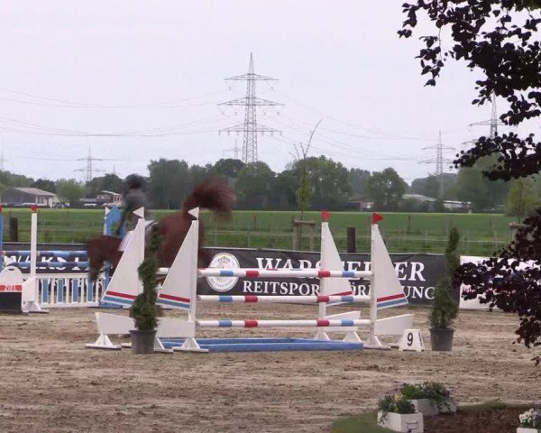 Reitturnier Dortmund-Asseln 2019