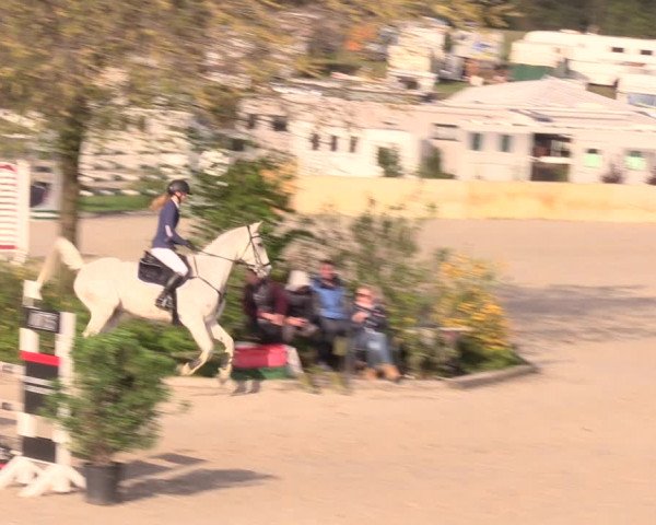 Reitturnier Oberfrauendorf 2019