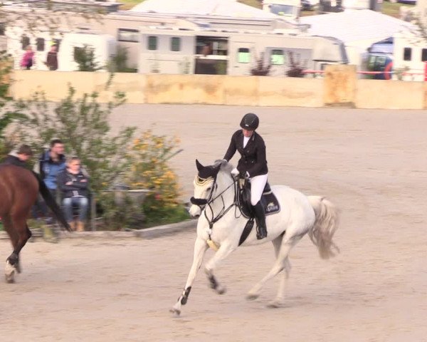 Reitturnier Oberfrauendorf 2019