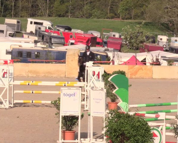 Reitturnier Oberfrauendorf 2019