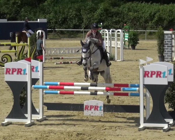 Reitturnier Ladenburg 2019