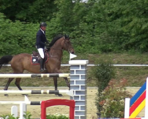 Reitturnier Ladenburg 2019