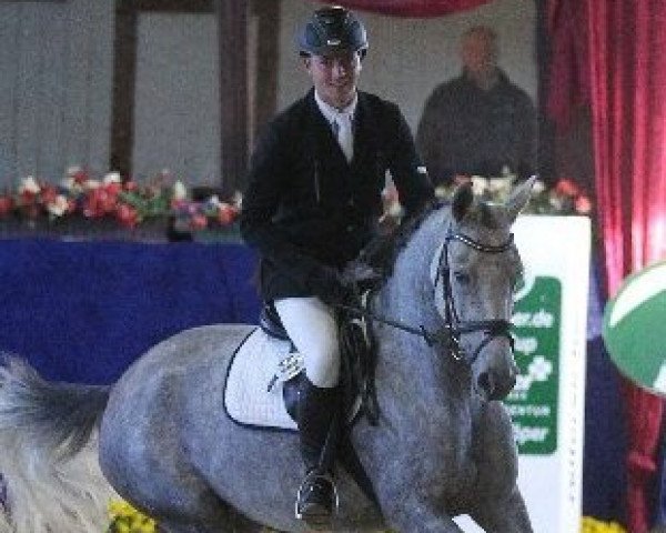 horse Römisch Blau (Oldenburg, 2009, from Ramiro's Bube)