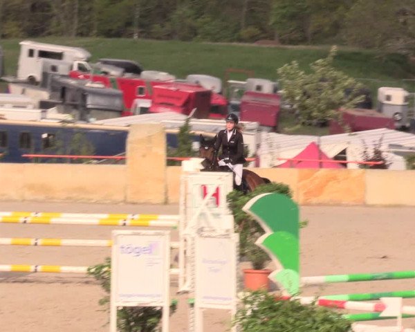 Reitturnier Oberfrauendorf 2019