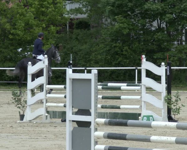 Reitturnier Ostenfelde-Vornholz 2019