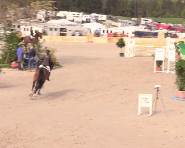 Reitturnier Oberfrauendorf 2019