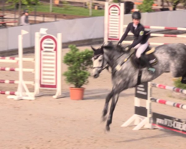 Reitturnier Oberfrauendorf 2019