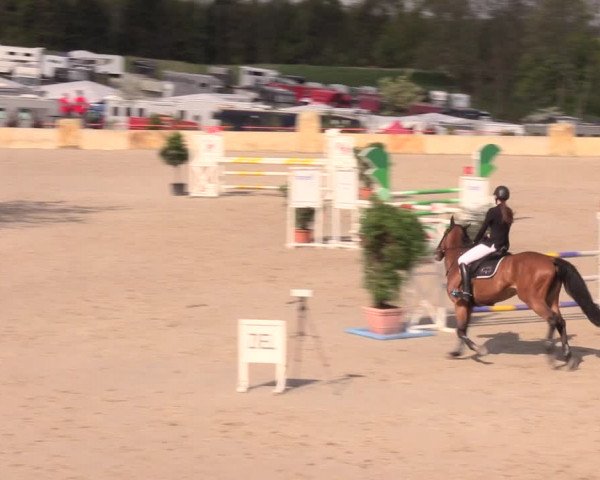 Reitturnier Oberfrauendorf 2019