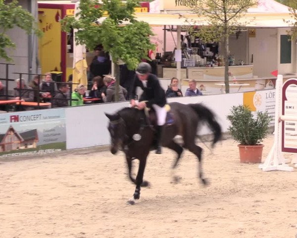Reitturnier Oberfrauendorf 2019