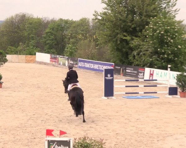 Reitturnier Oberfrauendorf 2019