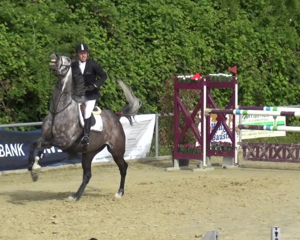 Reitturnier Ladenburg 2019