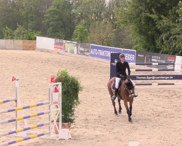 Reitturnier Oberfrauendorf 2019