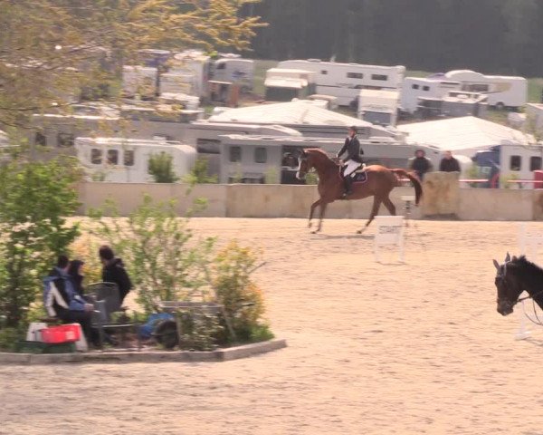 Reitturnier Oberfrauendorf 2019