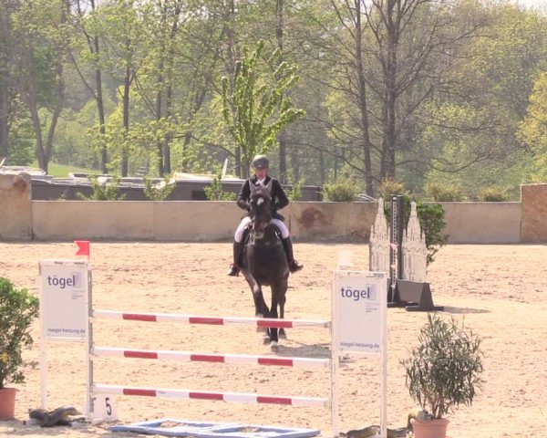 Reitturnier Oberfrauendorf 2019