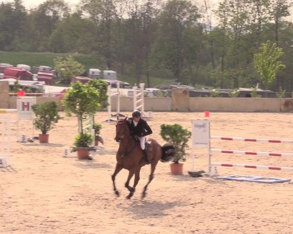 Reitturnier Oberfrauendorf 2019