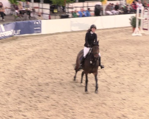 Reitturnier Oberfrauendorf 2019