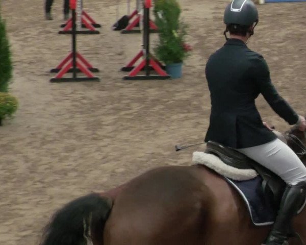 Reitturnier Heilbronn 2021