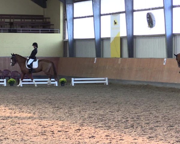 Reitturnier Frechen-Grefrath - Sonnenhof 2021