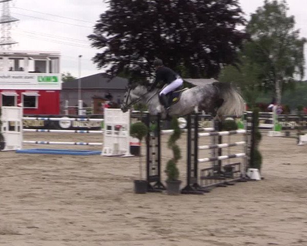 Reitturnier Dortmund-Asseln 2019