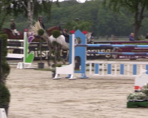 Reitturnier Dortmund-Asseln 2019