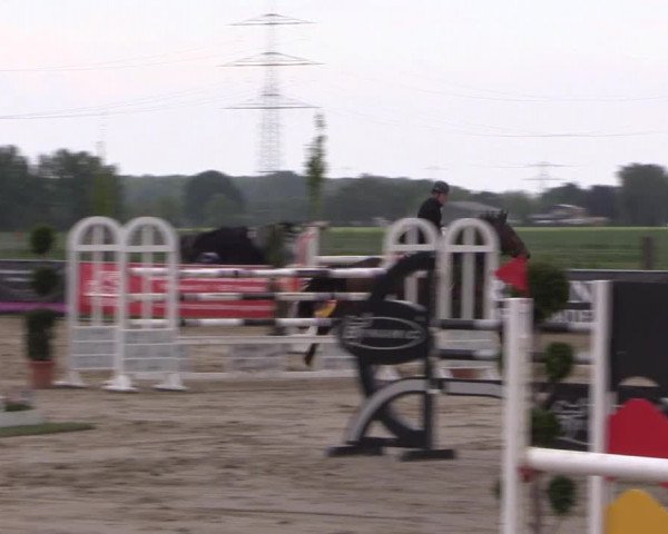 Reitturnier Dortmund-Asseln 2019