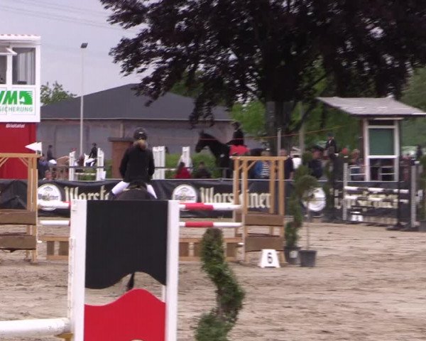 Reitturnier Dortmund-Asseln 2019