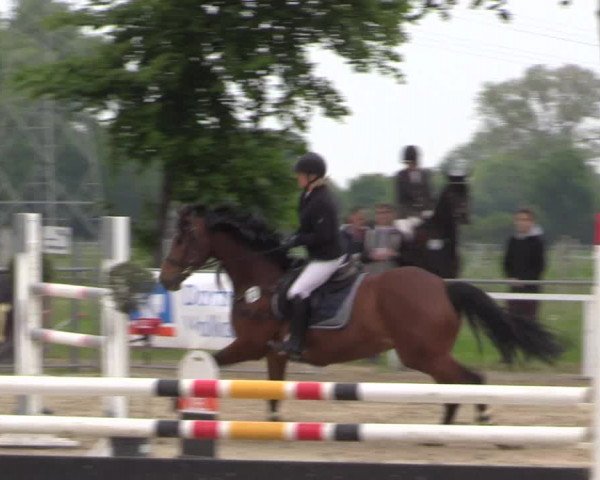 Reitturnier Dortmund-Asseln 2019