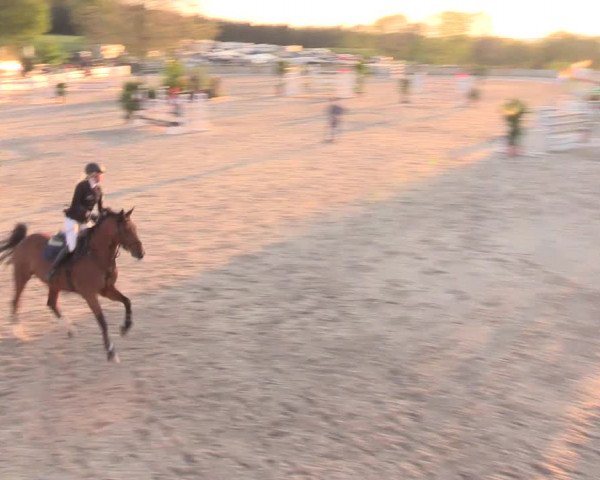 Reitturnier Oberfrauendorf 2019