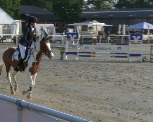 Reitturnier Ostenfelde-Vornholz 2019
