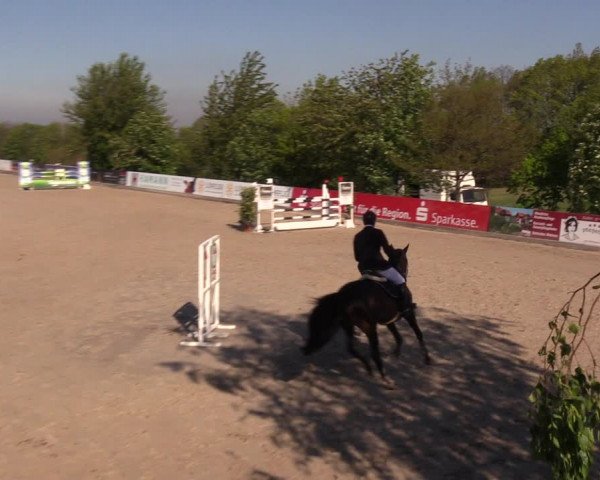 Reitturnier Oberfrauendorf 2019