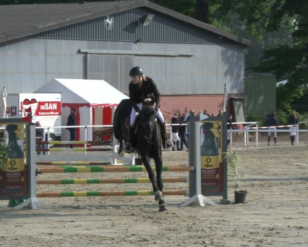 Reitturnier Ostenfelde-Vornholz 2019