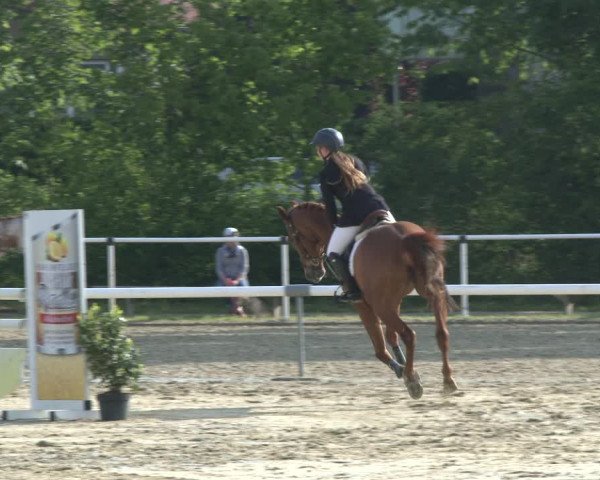Reitturnier Ostenfelde-Vornholz 2019