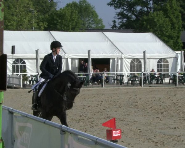 Reitturnier Ostenfelde-Vornholz 2019