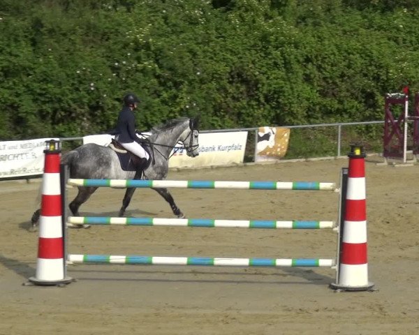 Reitturnier Ladenburg 2019