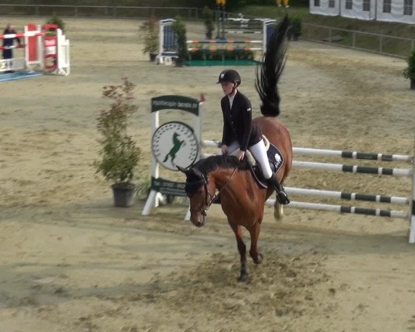 Reitturnier Ladenburg 2019