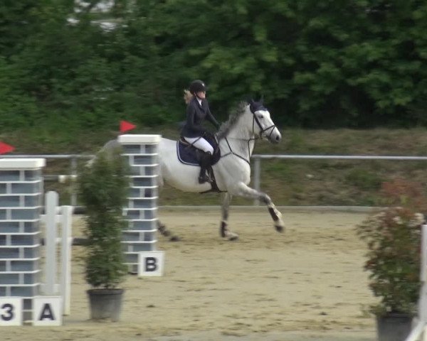 Reitturnier Ladenburg 2019